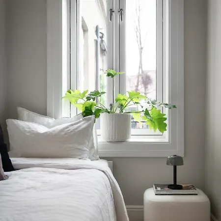 Apartment Sophisticated In